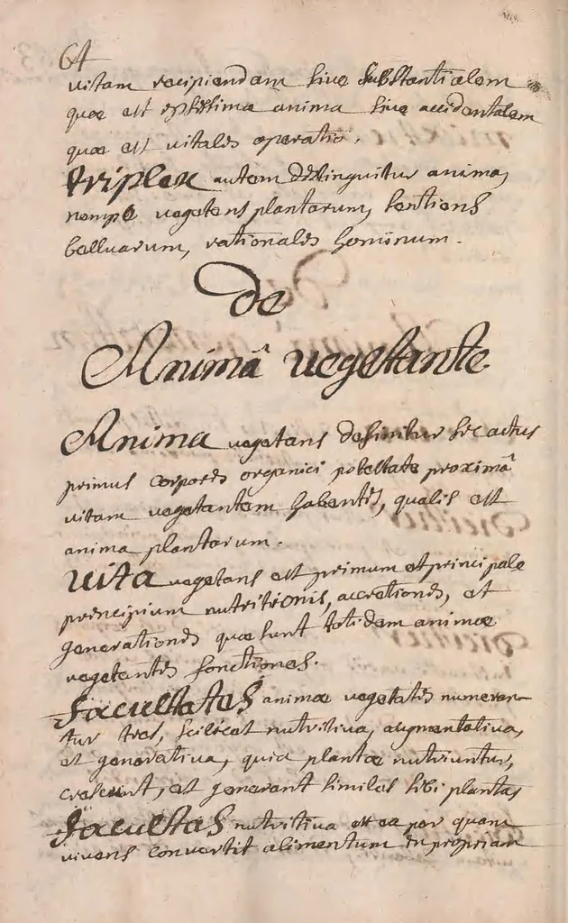An illustration from Compendiaria ad universam ph[ilosoph]iam introductio [manuscript], 1696, leaf 68