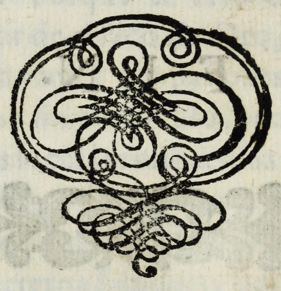 An illustration from Compendio de la vida de Manfredo Settala : con la descripcion de su celeberrima galeria, y la traduccion de la oracion funebre, que se dixo en sus exequias ; sale à luz debajo de la proteccion de don Ioseph de Leyza Eraso ..., 1681, leaf 138