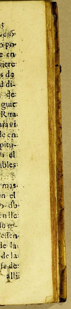 An illustration from Compendio historial de la uida de la gloriosa S[anta] Rita de Casia monja en el observantissimo monasterio de S[anta] Maria Magdalena de Casia del Orden de n[uestro] p[adre] S[an] Agustin., 1699, leaf 129