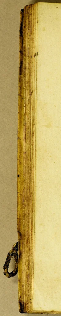 An illustration from Compendio historial de la uida de la gloriosa S[anta] Rita de Casia monja en el observantissimo monasterio de S[anta] Maria Magdalena de Casia del Orden de n[uestro] p[adre] S[an] Agustin., 1699, leaf 44