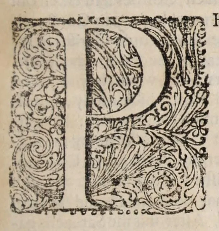 An illustration from A compendious history of the Catholick Church, from the year 600 untill the year 1600 : shewing her deformation and reformation, together with the rise, reign, rage, and begin-fall of the Roman Antichrist .., 1662, leaf 23