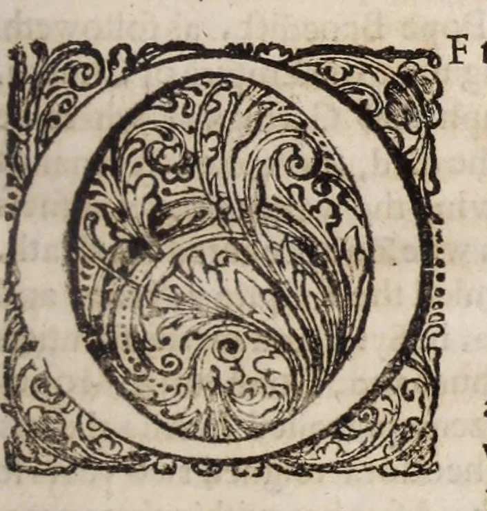 An illustration from A compendious history of the Catholick Church, from the year 600 untill the year 1600 : shewing her deformation and reformation, together with the rise, reign, rage, and begin-fall of the Roman Antichrist .., 1662, leaf 251