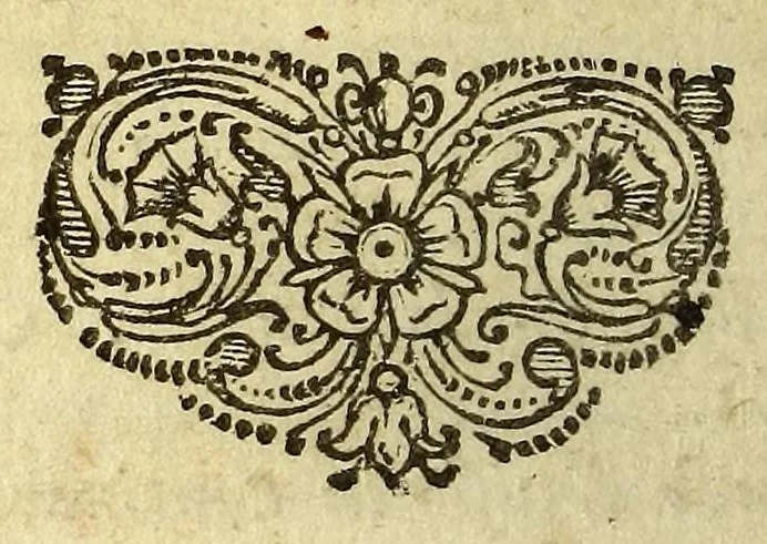 An illustration from Compendium geographicum : succintâ methodo adornatum,, 1649, leaf 28