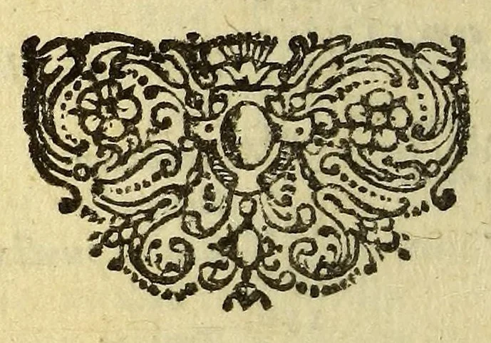 An illustration from Compendium geographicum : succintâ methodo adornatum,, 1649, leaf 430
