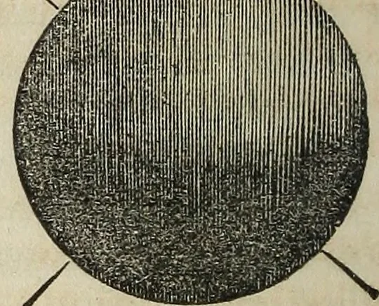An illustration from A compendium of astronomy;, 1855, leaf 105