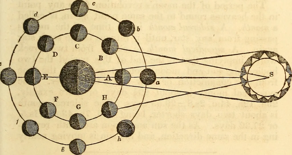 An illustration from A compendium of astronomy; containing the elements of the science, familiarly explained and illustrated, with the latest discoveries. Adapted to the use of schools and academies, and of the general reader, 1850, leaf 134