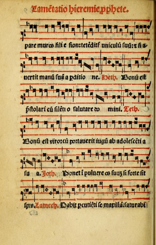 An illustration from Compendiu musices confectu ad faciliore instructione cantum chorale discentiu : necno ad introductione huius libelli: qui Catorinus intitulatur: omnibus diuino cultui deditis p[er]putilis necessarius: vt in tabula hic immediate sequeti latius apparet, 1513, leaf 184