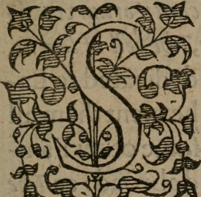 An illustration from Complaints : containing sundrie small poemes of the worlds vanitie. VVhereof the next page maketh mention, 1591, leaf 10