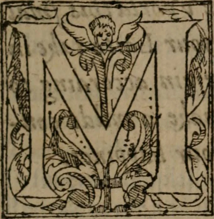An illustration from Complaints : containing sundrie small poemes of the worlds vanitie. VVhereof the next page maketh mention, 1591, leaf 154