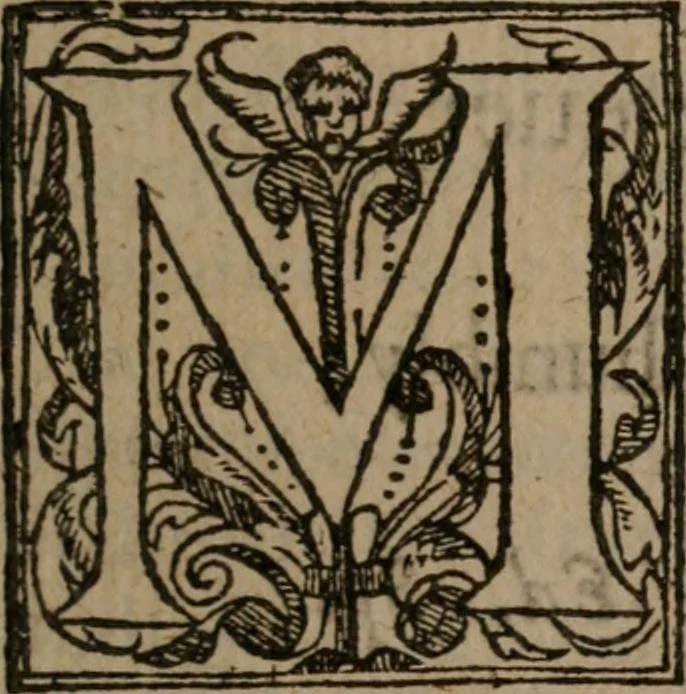 An illustration from Complaints : containing sundrie small poemes of the worlds vanitie. VVhereof the next page maketh mention, 1591, leaf 90