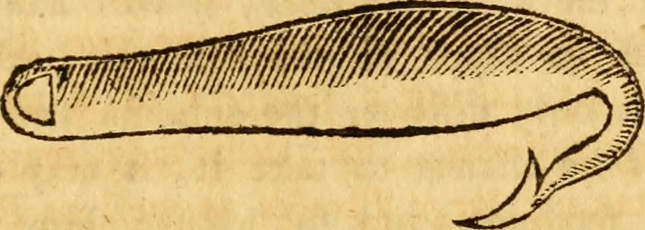 An illustration from The compleat troller : or, The art of trolling, with a description of all the utensils, instruments, tackling, and materials requisite thereto : with rules and directions how to use them : as also a brief account of most of the principal rivers in England, 1682, leaf 62