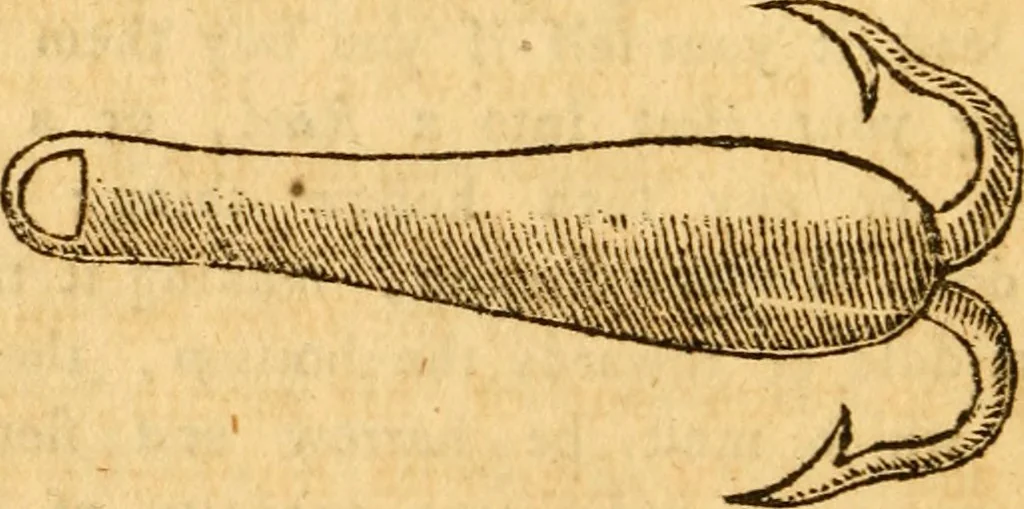 An illustration from The compleat troller : or, The art of trolling, with a description of all the utensils, instruments, tackling, and materials requisite thereto : with rules and directions how to use them : as also a brief account of most of the principal rivers in England, 1682, leaf 63