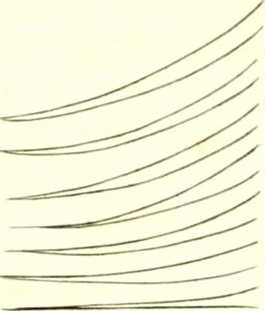 An illustration from A complete body of heraldry : containing, an historical enquiry into the origin of armories, and the rise and progress of heraldry, considered as a science ..., 1780, leaf 204