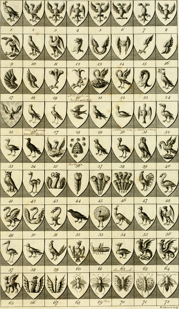 An illustration from A complete body of heraldry : containing, an historical enquiry into the origin of armories, and the rise and progress of heraldry, considered as a science ..., 1780, leaf 494