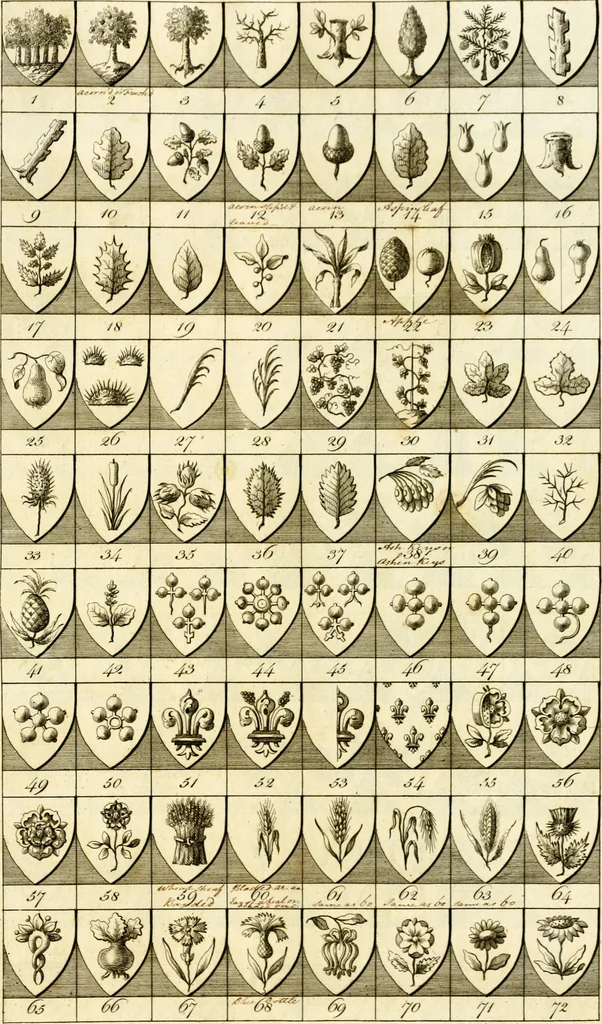 An illustration from A complete body of heraldry : containing, an historical enquiry into the origin of armories, and the rise and progress of heraldry, considered as a science ..., 1780, leaf 496