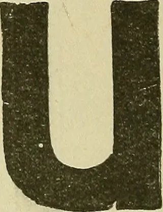 An illustration from The complete carriage and wagon painter : a concise compendium of the art of painting carriages, wagons and sleighs, embracing full directions in all the various branches, including lettering, scrolling, ornamenting, striping, varnishing and coloring, with numerous recipes for mixing colors, 1903, leaf 101