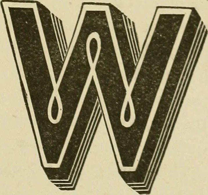 An illustration from The complete carriage and wagon painter : a concise compendium of the art of painting carriages, wagons and sleighs, embracing full directions in all the various branches, including lettering, scrolling, ornamenting, striping, varnishing and coloring, with numerous recipes for mixing colors, 1903, leaf 110