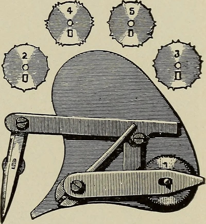 An illustration from Complete catalog and price list, 1900, leaf 112