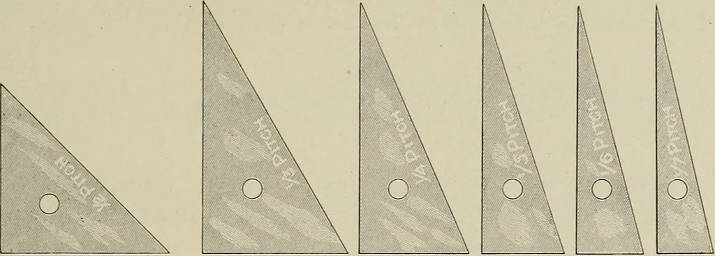 An illustration from Complete catalog and price list, 1900, leaf 194