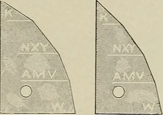 An illustration from Complete catalog and price list, 1900, leaf 194