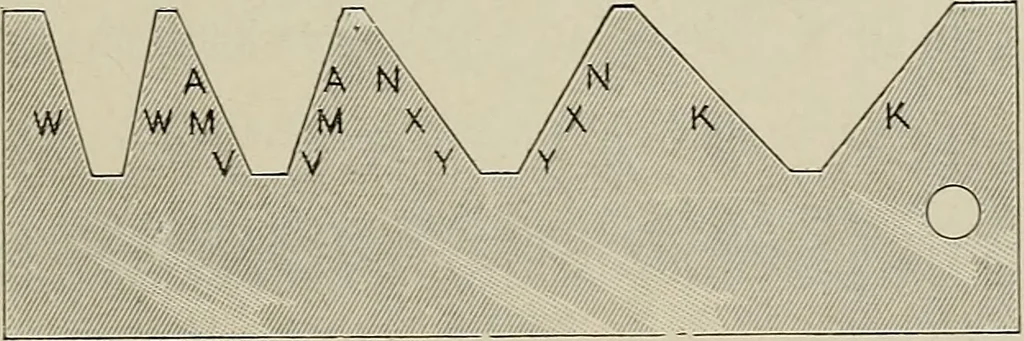 An illustration from Complete catalog and price list, 1900, leaf 194