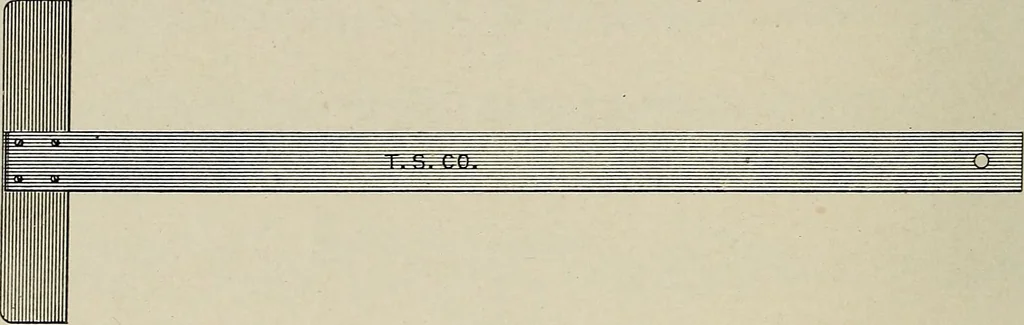 An illustration from Complete catalog and price list, 1900, leaf 197