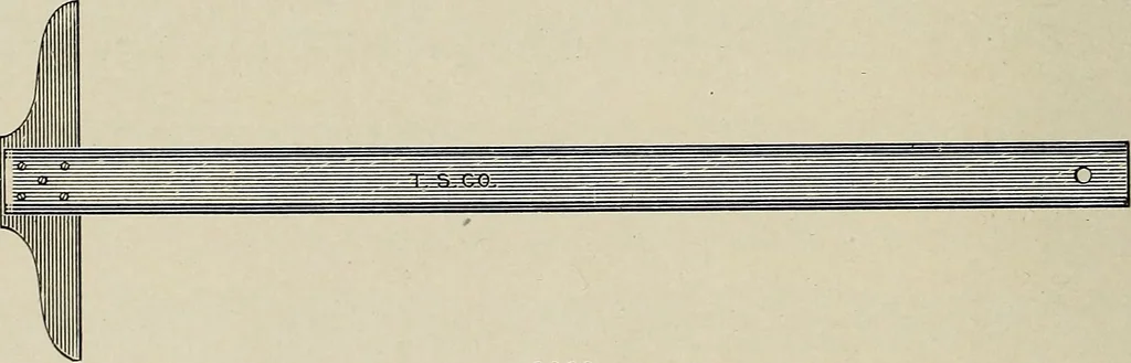 An illustration from Complete catalog and price list, 1900, leaf 197