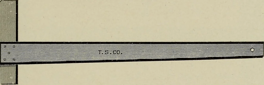 An illustration from Complete catalog and price list, 1900, leaf 198