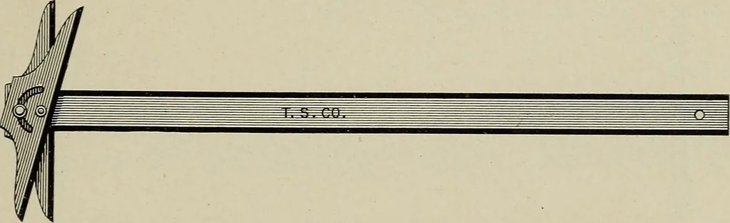 An illustration from Complete catalog and price list, 1900, leaf 198