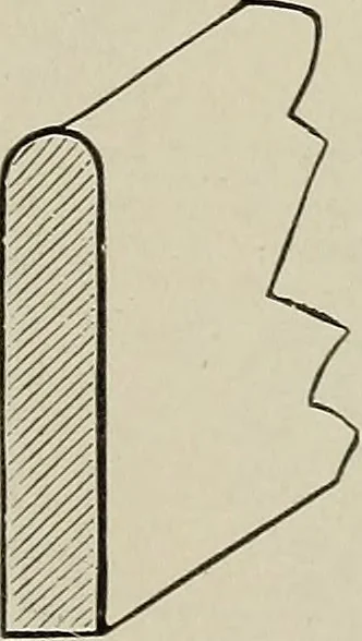 An illustration from Complete catalog and price list, 1900, leaf 202