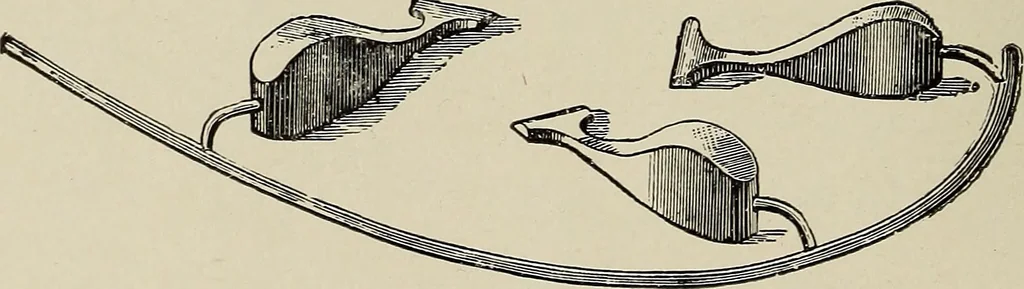 An illustration from Complete catalog and price list, 1900, leaf 203