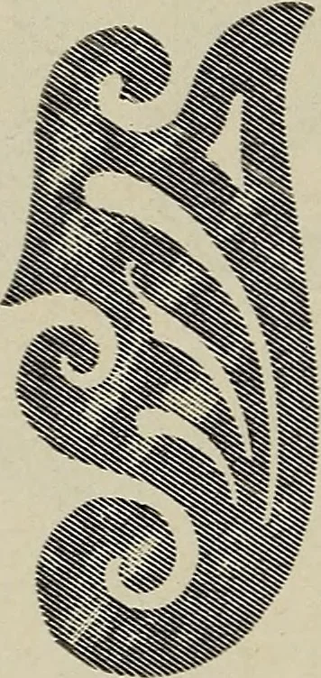 An illustration from Complete catalog and price list, 1900, leaf 205