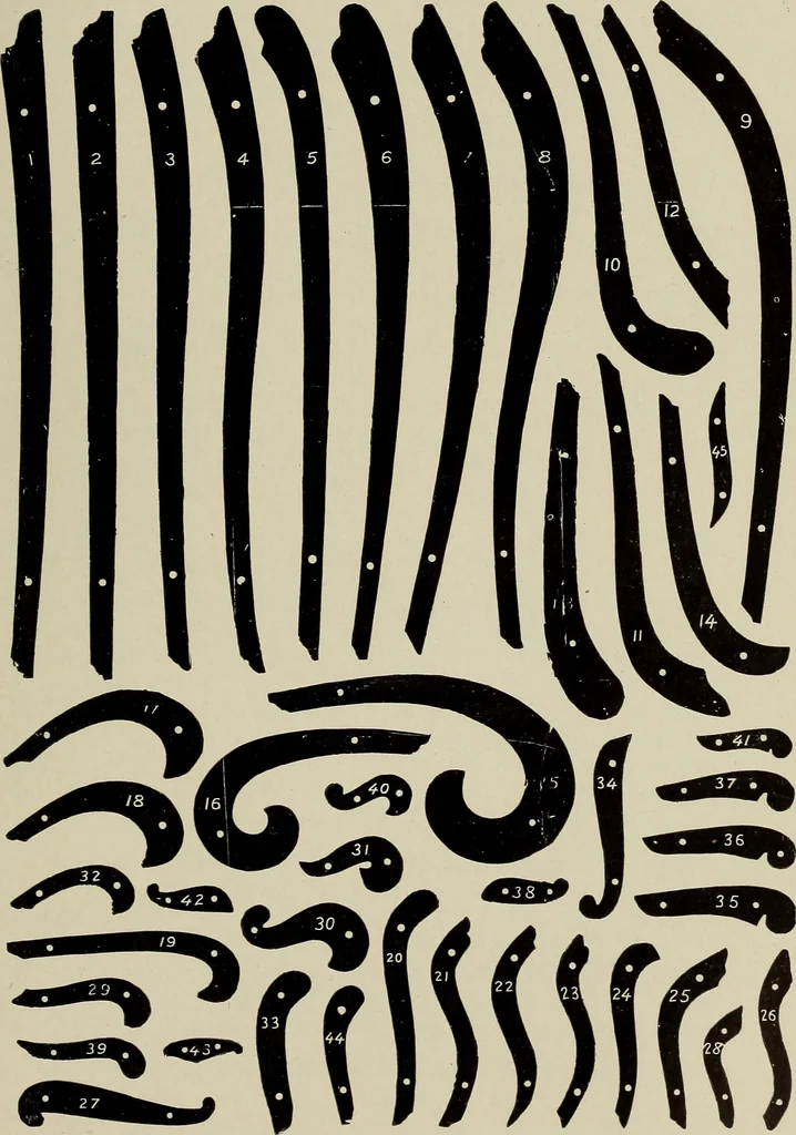 An illustration from Complete catalog and price list, 1900, leaf 206