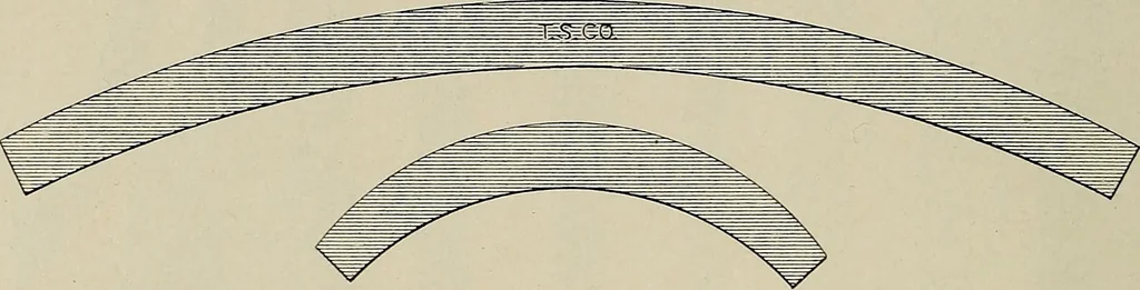 An illustration from Complete catalog and price list, 1900, leaf 207