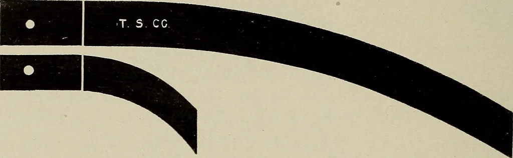 An illustration from Complete catalog and price list, 1900, leaf 209