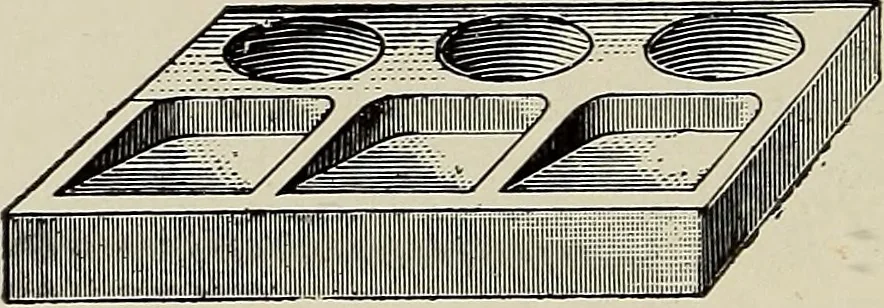 An illustration from Complete catalog and price list, 1900, leaf 233