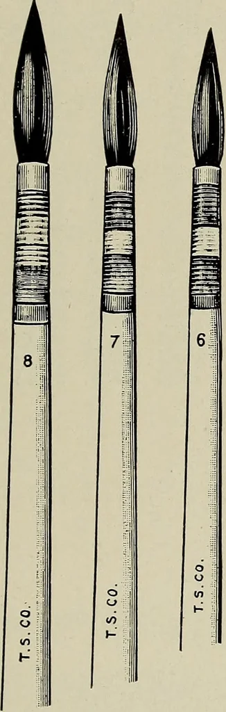 An illustration from Complete catalog and price list, 1900, leaf 236
