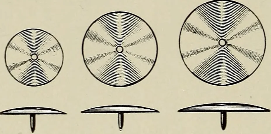 An illustration from Complete catalog and price list, 1900, leaf 241
