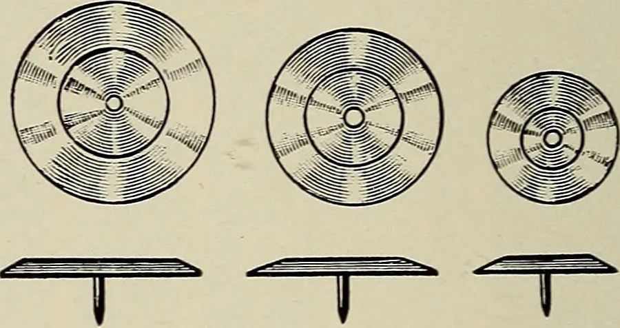 An illustration from Complete catalog and price list, 1900, leaf 241