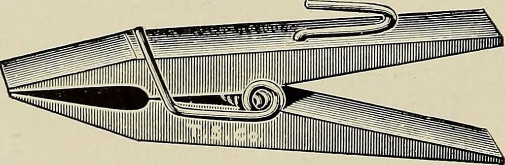 An illustration from Complete catalog and price list, 1900, leaf 243