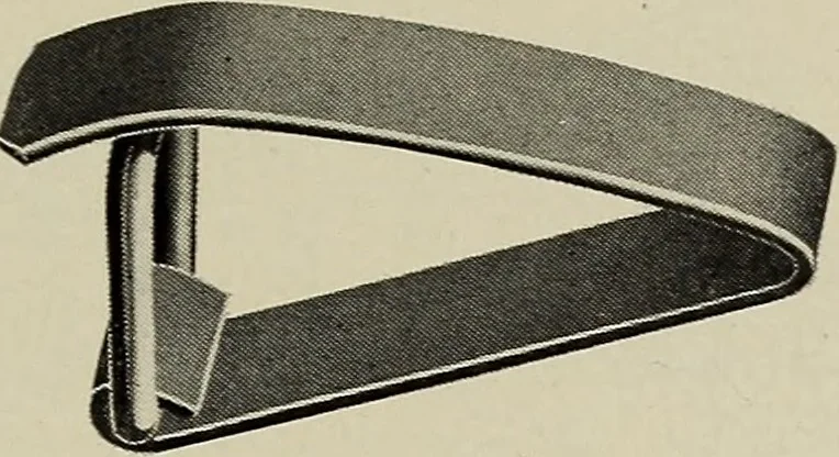 An illustration from Complete catalog and price list, 1900, leaf 244