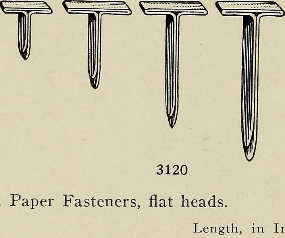 An illustration from Complete catalog and price list, 1900, leaf 267