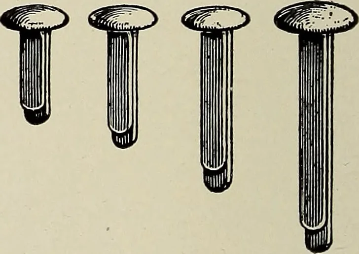 An illustration from Complete catalog and price list, 1900, leaf 267