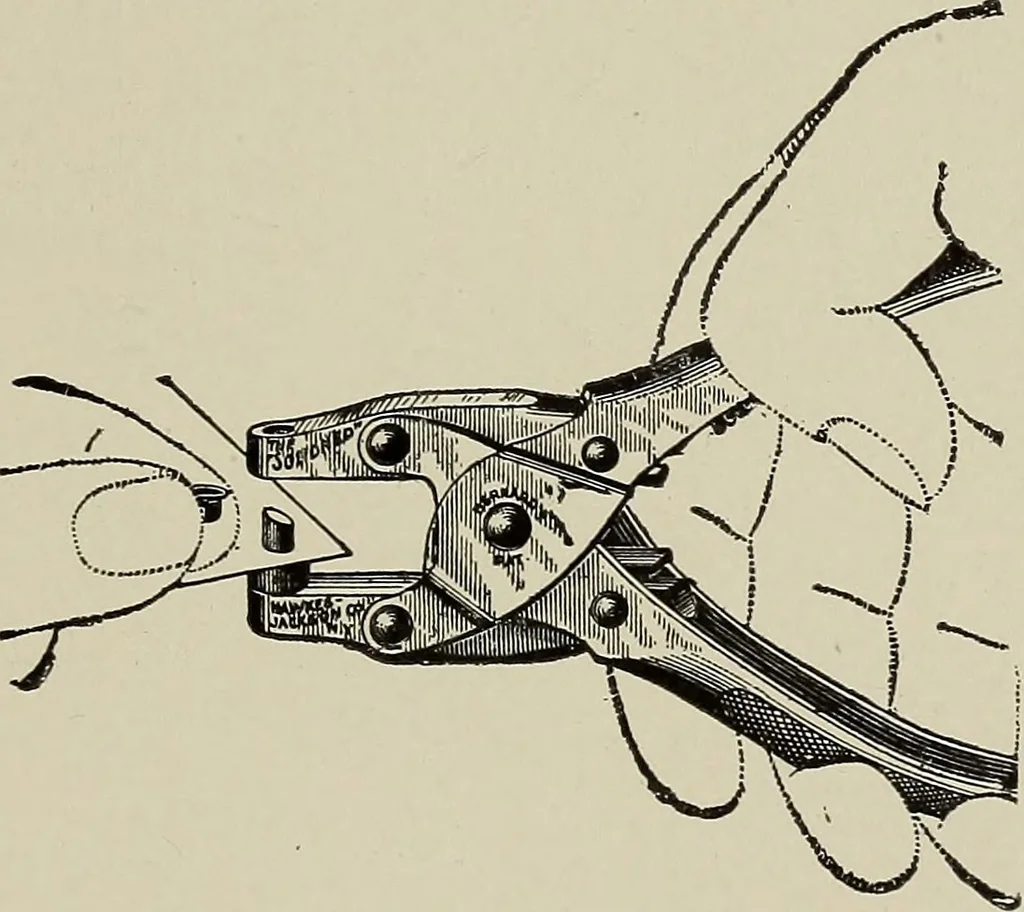 An illustration from Complete catalog and price list, 1900, leaf 268
