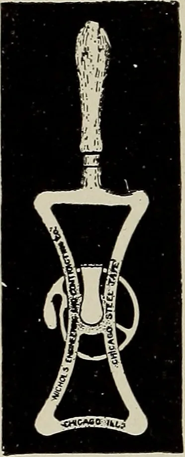 An illustration from Complete catalog and price list, 1900, leaf 269