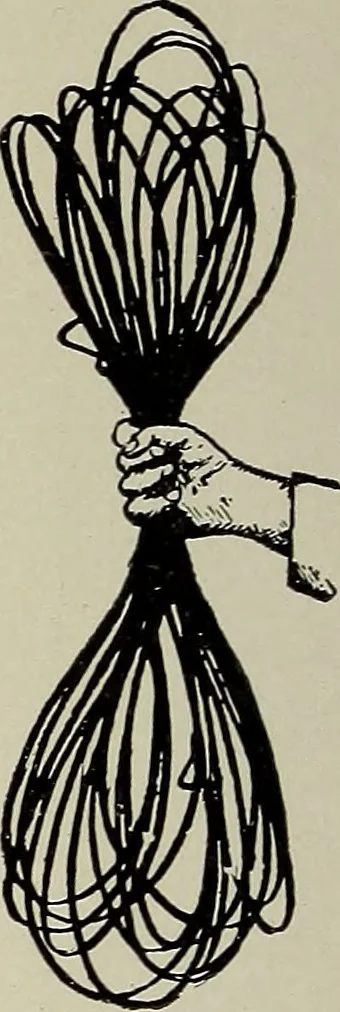 An illustration from Complete catalog and price list, 1900, leaf 269