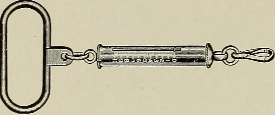 An illustration from Complete catalog and price list, 1900, leaf 285