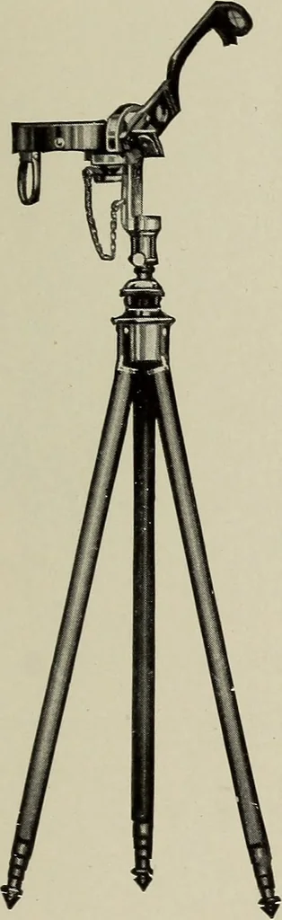 An illustration from Complete catalog and price list, 1900, leaf 300