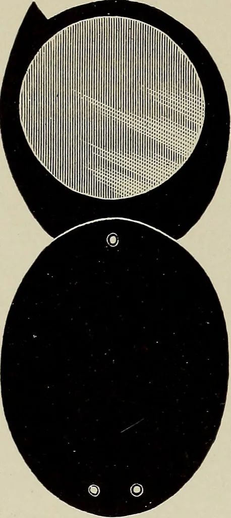 An illustration from Complete catalog and price list, 1900, leaf 375