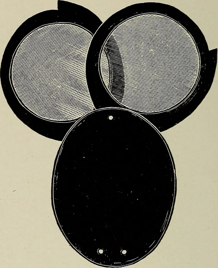 An illustration from Complete catalog and price list, 1900, leaf 375